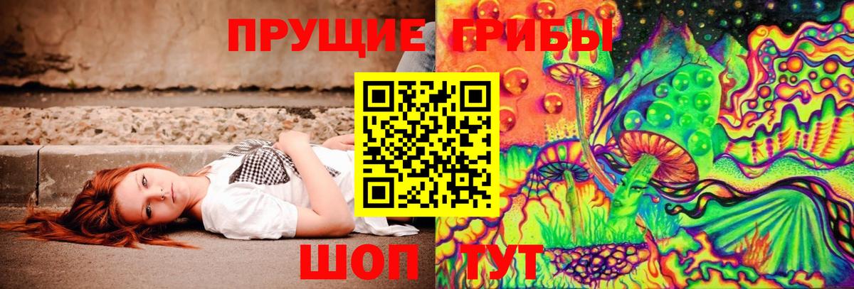 Галлюциногенные грибы Psilocybine cubensis Воскресенск